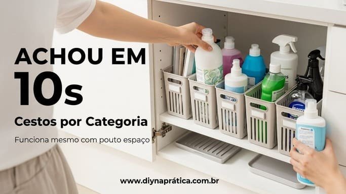 Segunda parte da execução: montar cestos por categoria